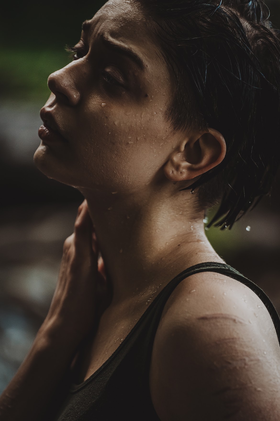 Arlo in water, editorial